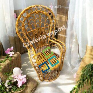 Rattan Bamboo Cane Peacock Photoshot Baby Chairs | Newborn Photography Chairs