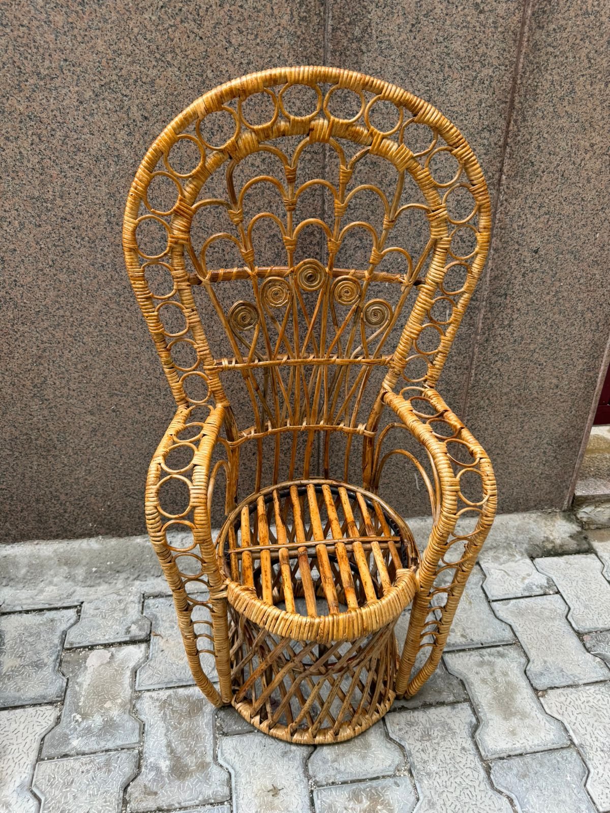 Rattan Bamboo Cane Peacock Photoshot Baby Chairs | Newborn Photography Chairs