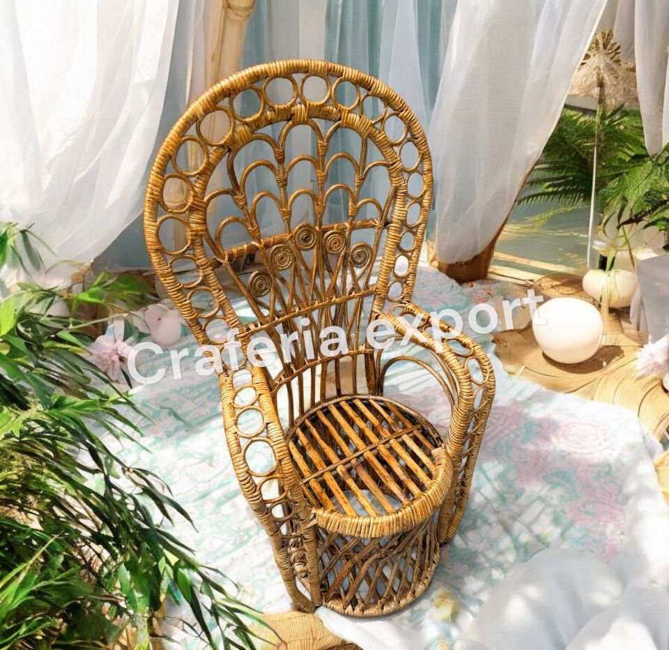 Rattan Bamboo Cane Peacock Photoshot Baby Chairs | Newborn Photography Chairs